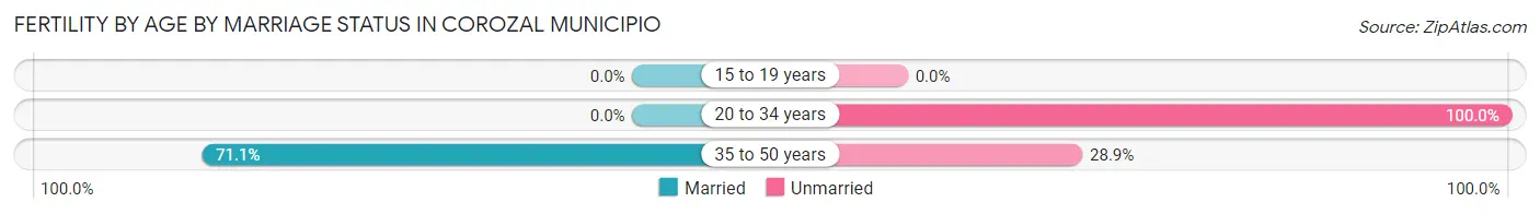 Female Fertility by Age by Marriage Status in Corozal Municipio