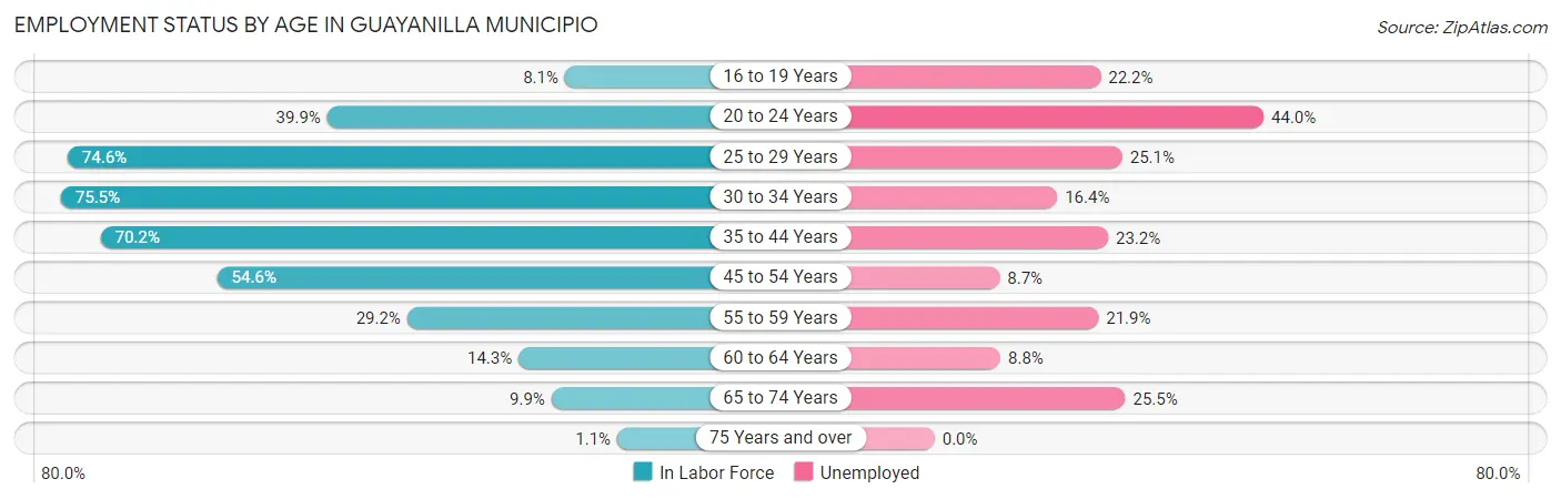 Employment Status by Age in Guayanilla Municipio