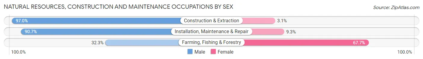 Natural Resources, Construction and Maintenance Occupations by Sex in Guayanilla Municipio