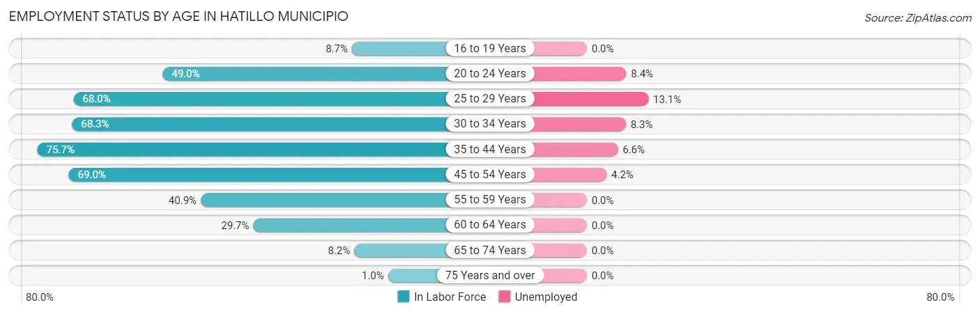 Employment Status by Age in Hatillo Municipio