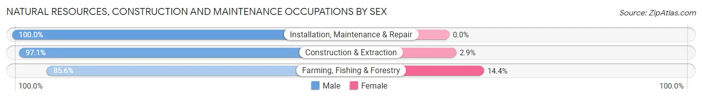 Natural Resources, Construction and Maintenance Occupations by Sex in Humacao Municipio