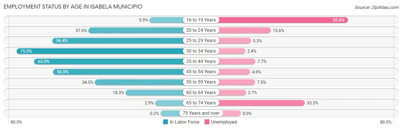 Employment Status by Age in Isabela Municipio