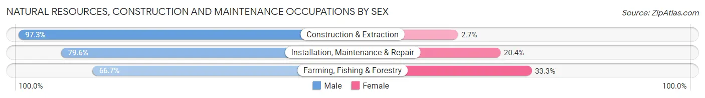 Natural Resources, Construction and Maintenance Occupations by Sex in Isabela Municipio