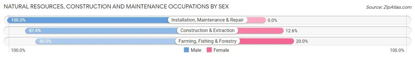 Natural Resources, Construction and Maintenance Occupations by Sex in Lajas Municipio
