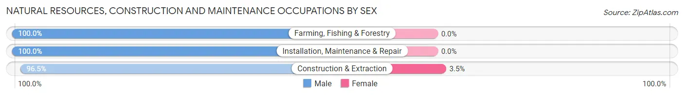 Natural Resources, Construction and Maintenance Occupations by Sex in Las Piedras Municipio