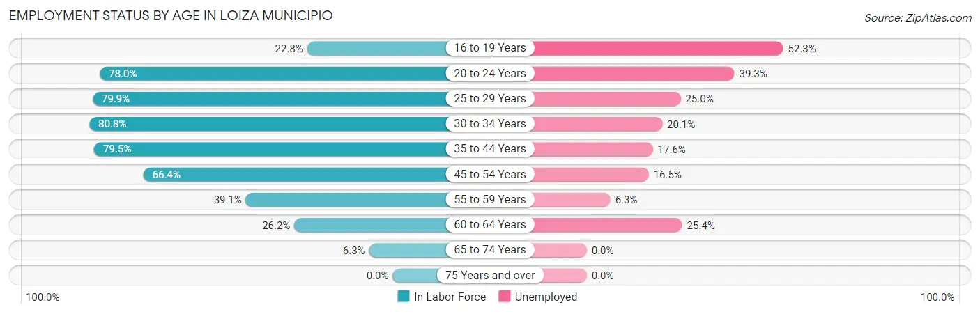 Employment Status by Age in Loiza Municipio