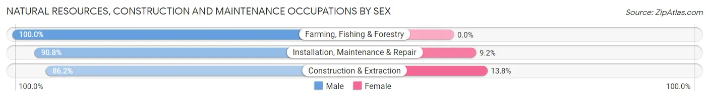 Natural Resources, Construction and Maintenance Occupations by Sex in Loiza Municipio