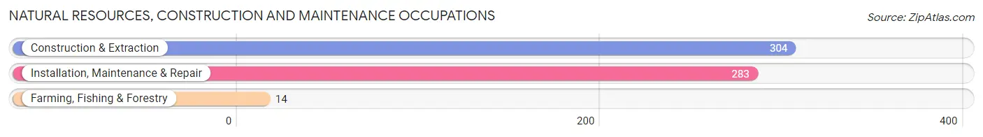 Natural Resources, Construction and Maintenance Occupations in Loiza Municipio