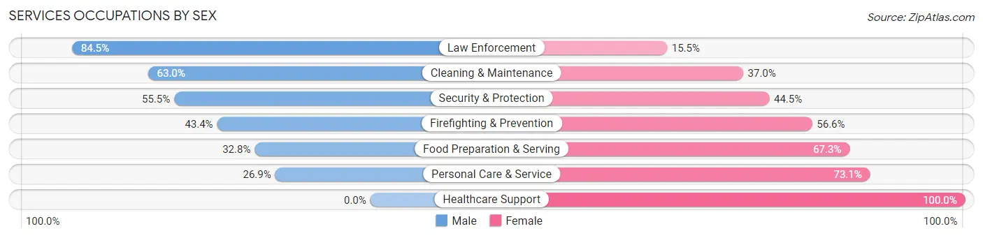 Services Occupations by Sex in Loiza Municipio