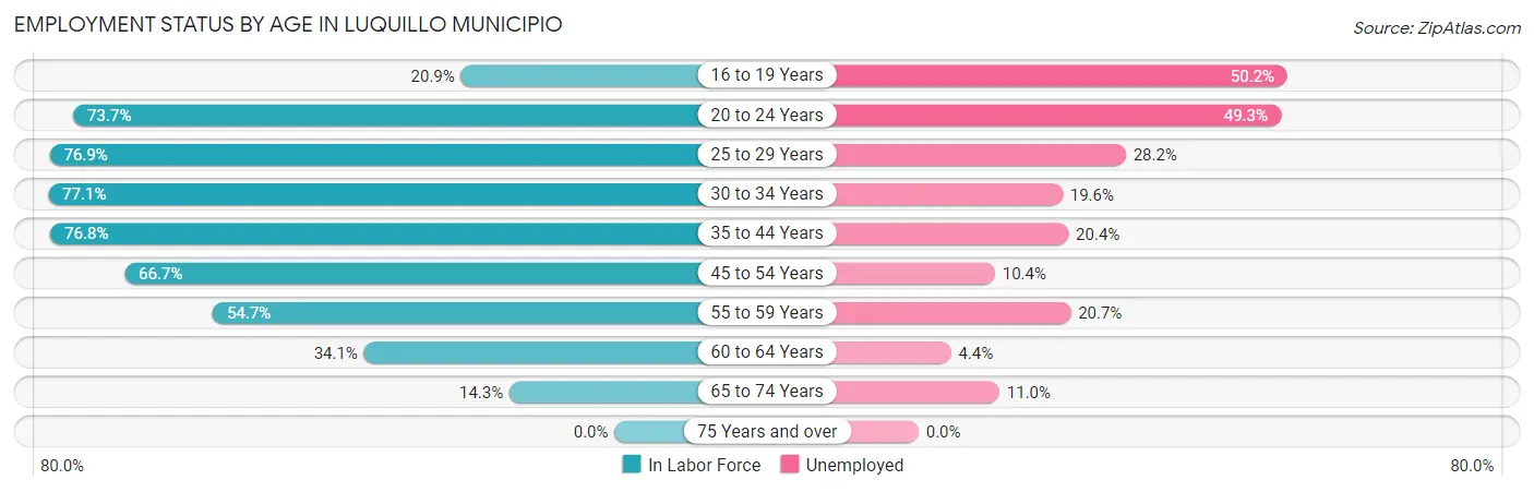 Employment Status by Age in Luquillo Municipio