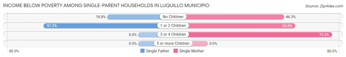 Income Below Poverty Among Single-Parent Households in Luquillo Municipio