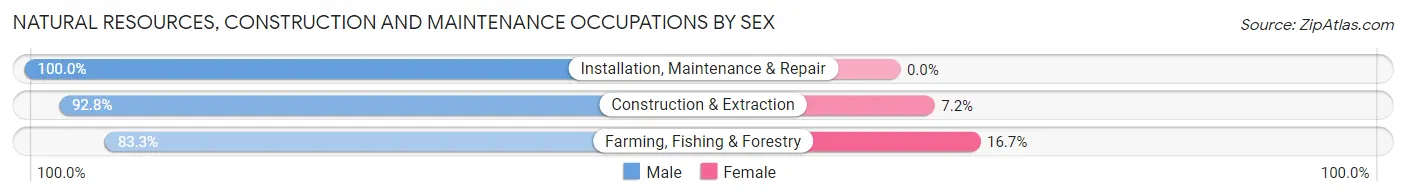 Natural Resources, Construction and Maintenance Occupations by Sex in Mayaguez Municipio