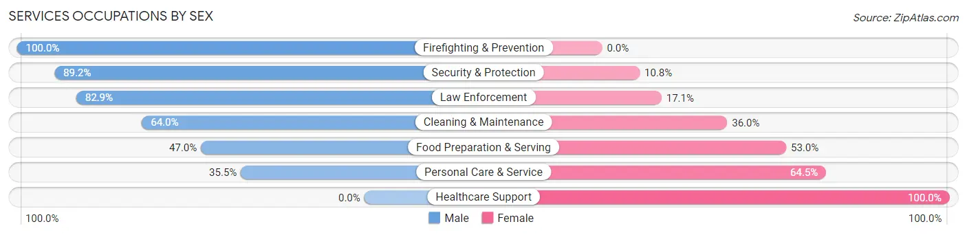 Services Occupations by Sex in Moca Municipio