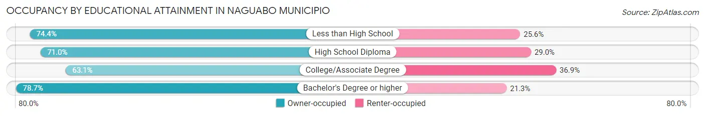 Occupancy by Educational Attainment in Naguabo Municipio