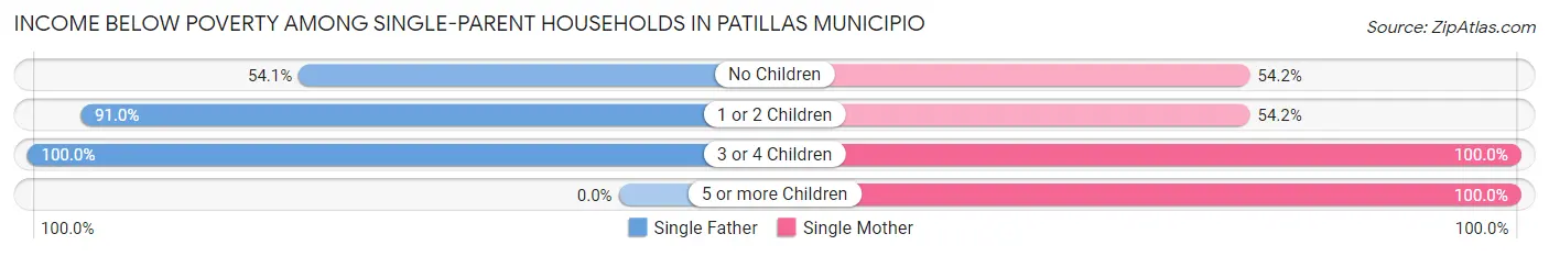 Income Below Poverty Among Single-Parent Households in Patillas Municipio