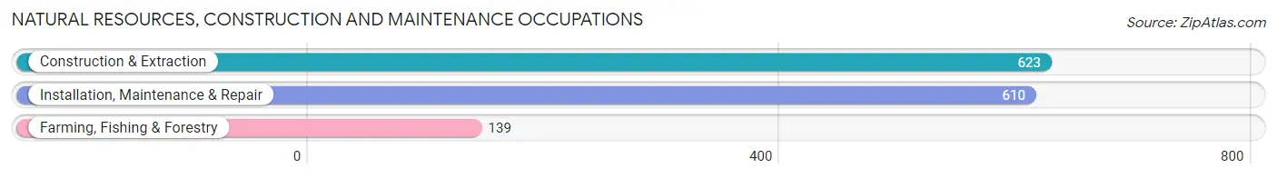 Natural Resources, Construction and Maintenance Occupations in Quebradillas Municipio