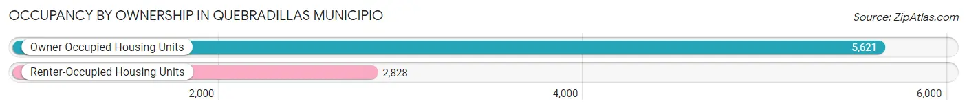 Occupancy by Ownership in Quebradillas Municipio