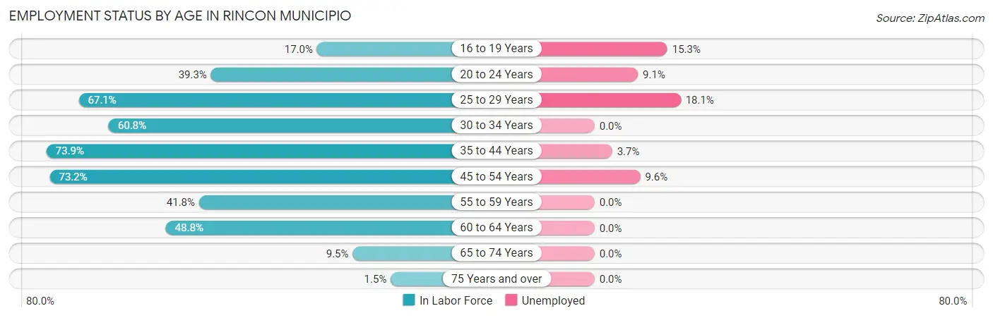 Employment Status by Age in Rincon Municipio