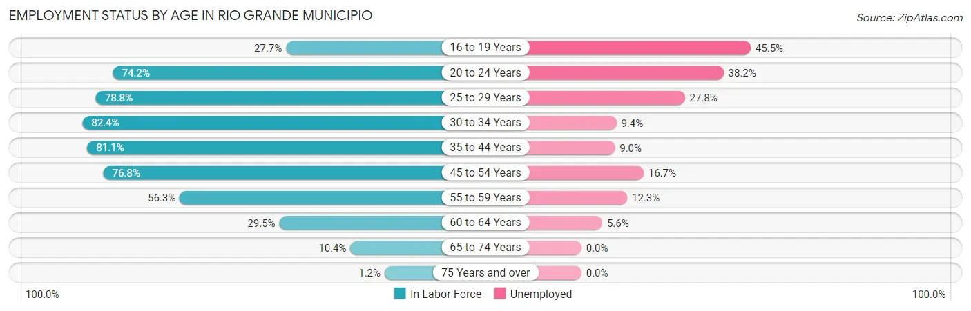 Employment Status by Age in Rio Grande Municipio