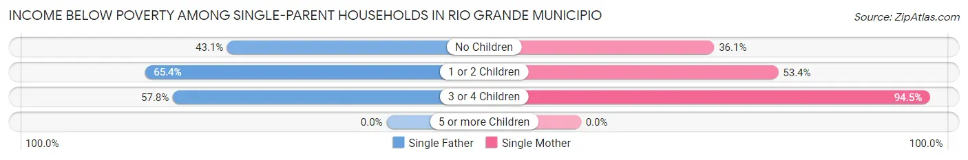 Income Below Poverty Among Single-Parent Households in Rio Grande Municipio