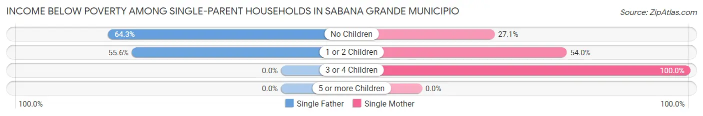 Income Below Poverty Among Single-Parent Households in Sabana Grande Municipio