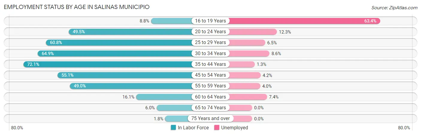 Employment Status by Age in Salinas Municipio