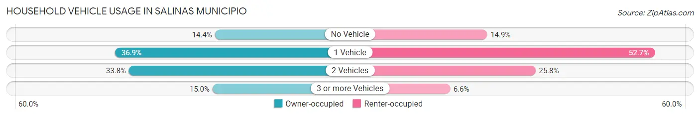 Household Vehicle Usage in Salinas Municipio