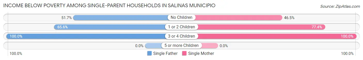 Income Below Poverty Among Single-Parent Households in Salinas Municipio