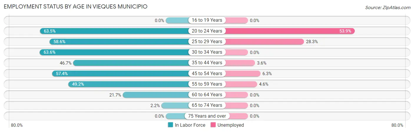 Employment Status by Age in Vieques Municipio