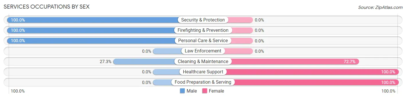 Services Occupations by Sex in Vieques Municipio