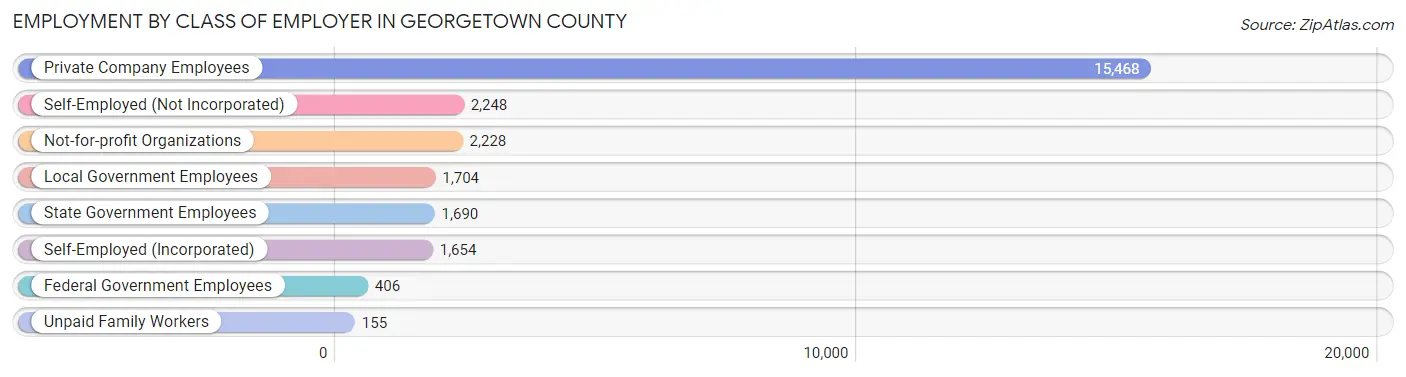Employment by Class of Employer in Georgetown County