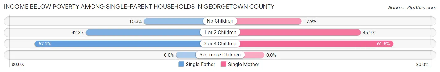 Income Below Poverty Among Single-Parent Households in Georgetown County