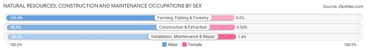 Natural Resources, Construction and Maintenance Occupations by Sex in Georgetown County