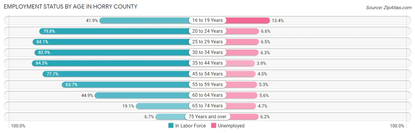 Employment Status by Age in Horry County