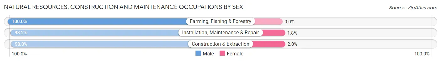 Natural Resources, Construction and Maintenance Occupations by Sex in Lancaster County