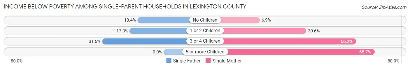 Income Below Poverty Among Single-Parent Households in Lexington County