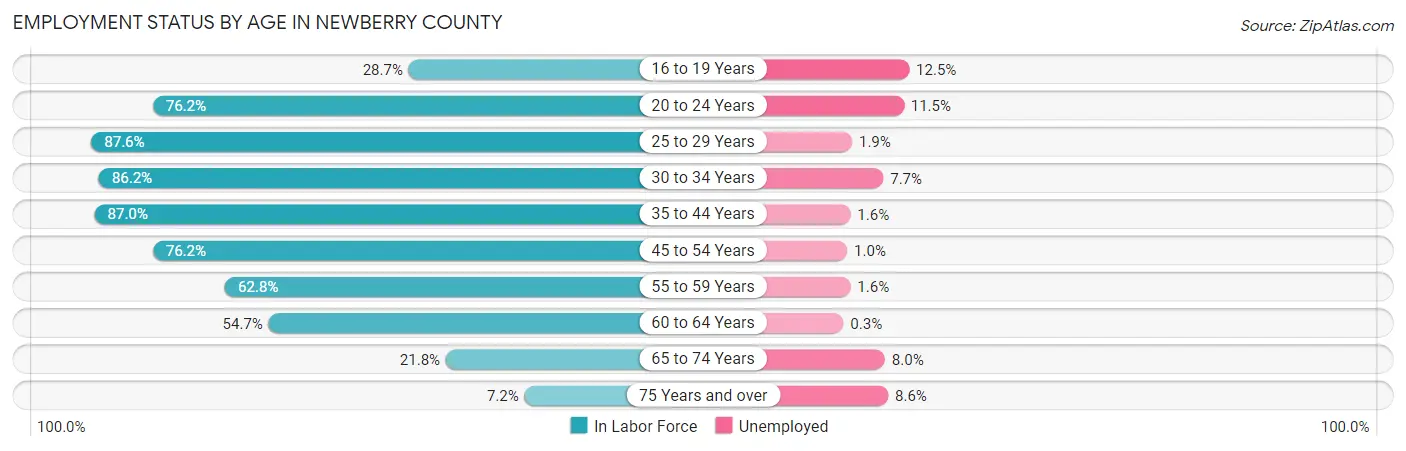 Employment Status by Age in Newberry County