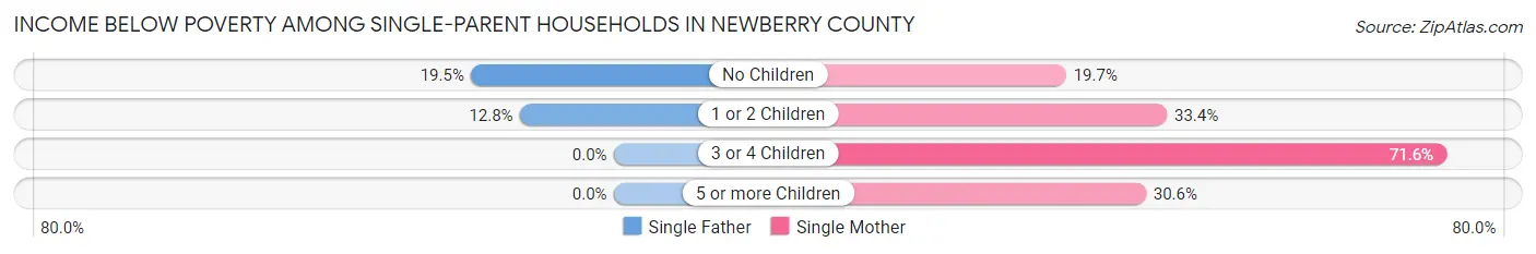 Income Below Poverty Among Single-Parent Households in Newberry County
