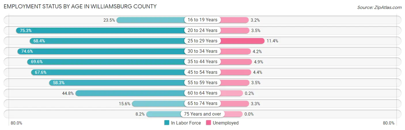 Employment Status by Age in Williamsburg County