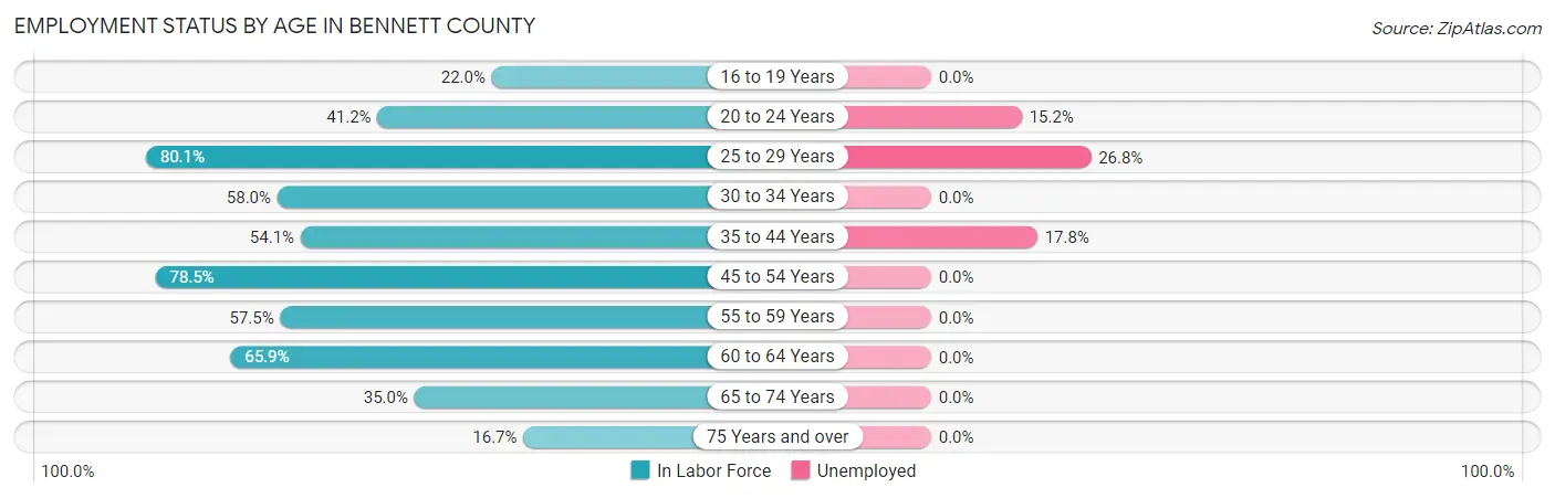 Employment Status by Age in Bennett County