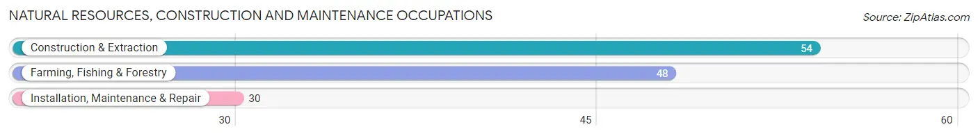 Natural Resources, Construction and Maintenance Occupations in Bennett County