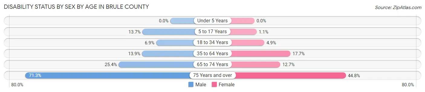 Disability Status by Sex by Age in Brule County
