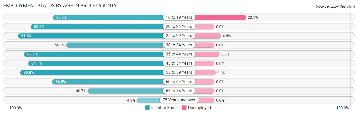 Employment Status by Age in Brule County