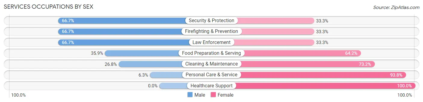 Services Occupations by Sex in Brule County