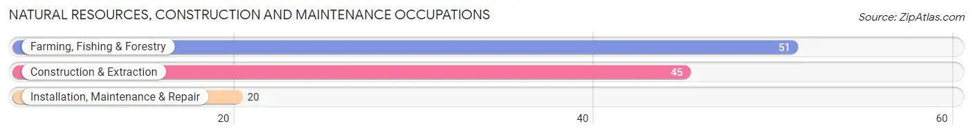 Natural Resources, Construction and Maintenance Occupations in Campbell County