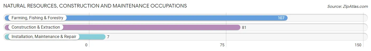 Natural Resources, Construction and Maintenance Occupations in Clark County