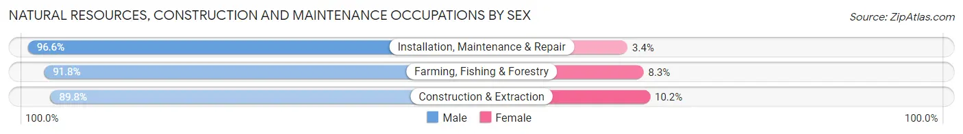 Natural Resources, Construction and Maintenance Occupations by Sex in Day County
