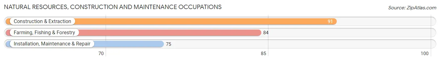 Natural Resources, Construction and Maintenance Occupations in Deuel County