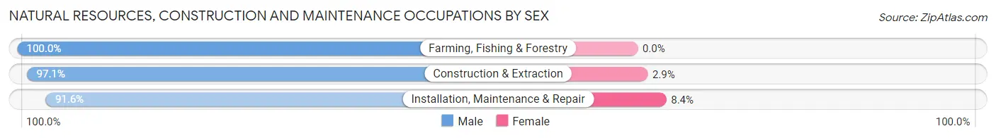 Natural Resources, Construction and Maintenance Occupations by Sex in Dewey County