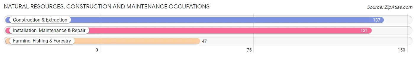 Natural Resources, Construction and Maintenance Occupations in Dewey County